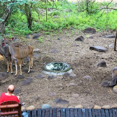 Kruger Kumba - Lahlekile Nathi Apartamento Marloth Park Exterior foto
