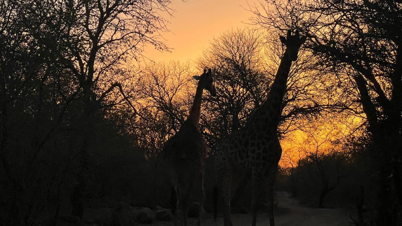 Kruger Kumba - Lahlekile Nathi *
