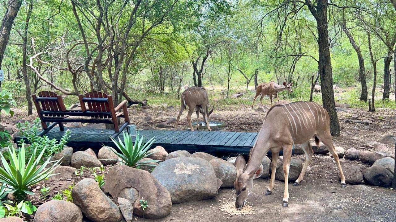 Kruger Kumba - Lahlekile Nathi * Marloth Park